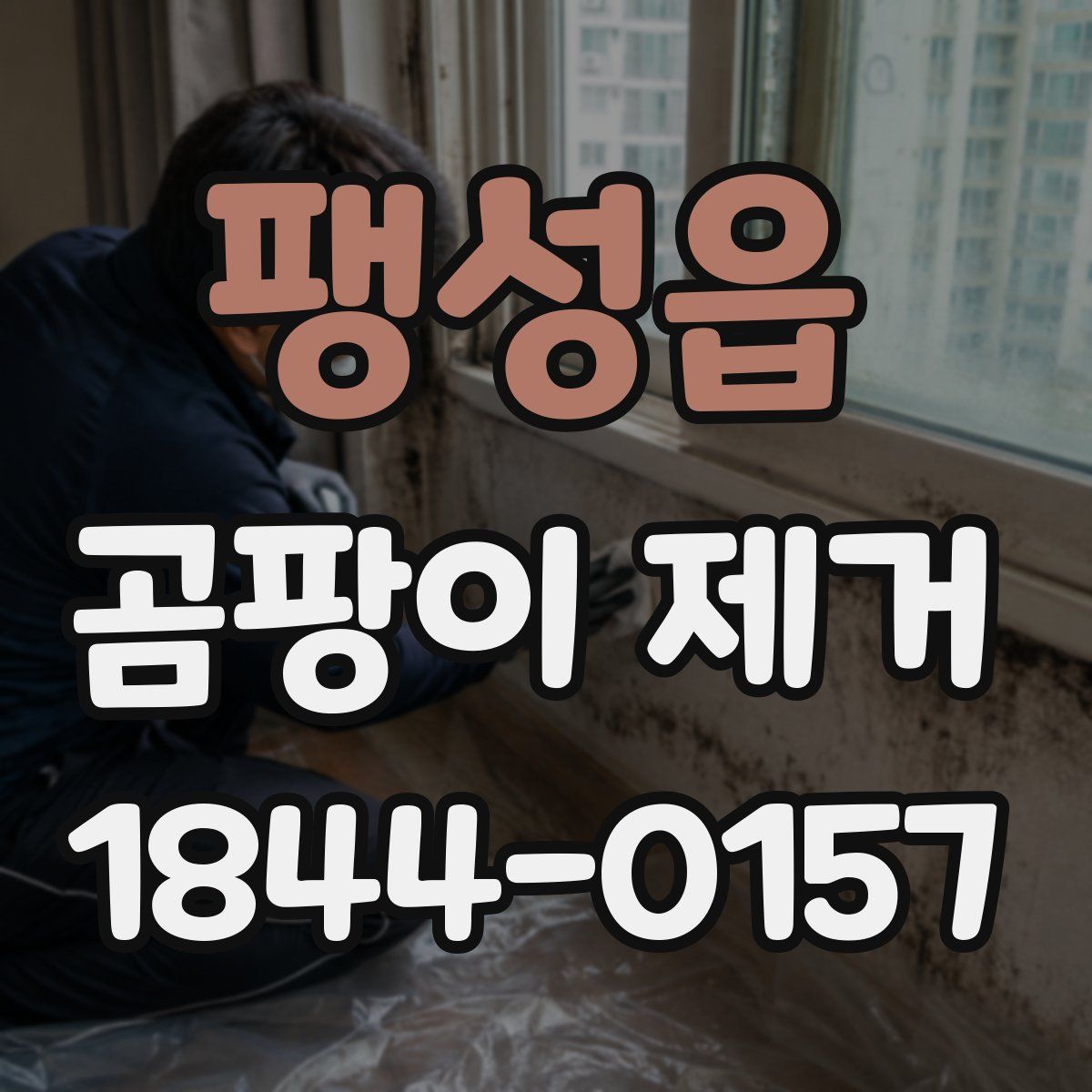팽성읍 곰팡이 제거