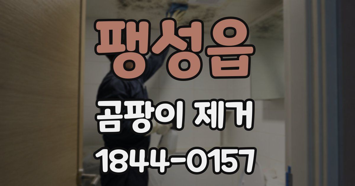 팽성읍 곰팡이 제거
