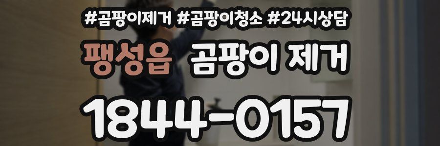 팽성읍 곰팡이 제거