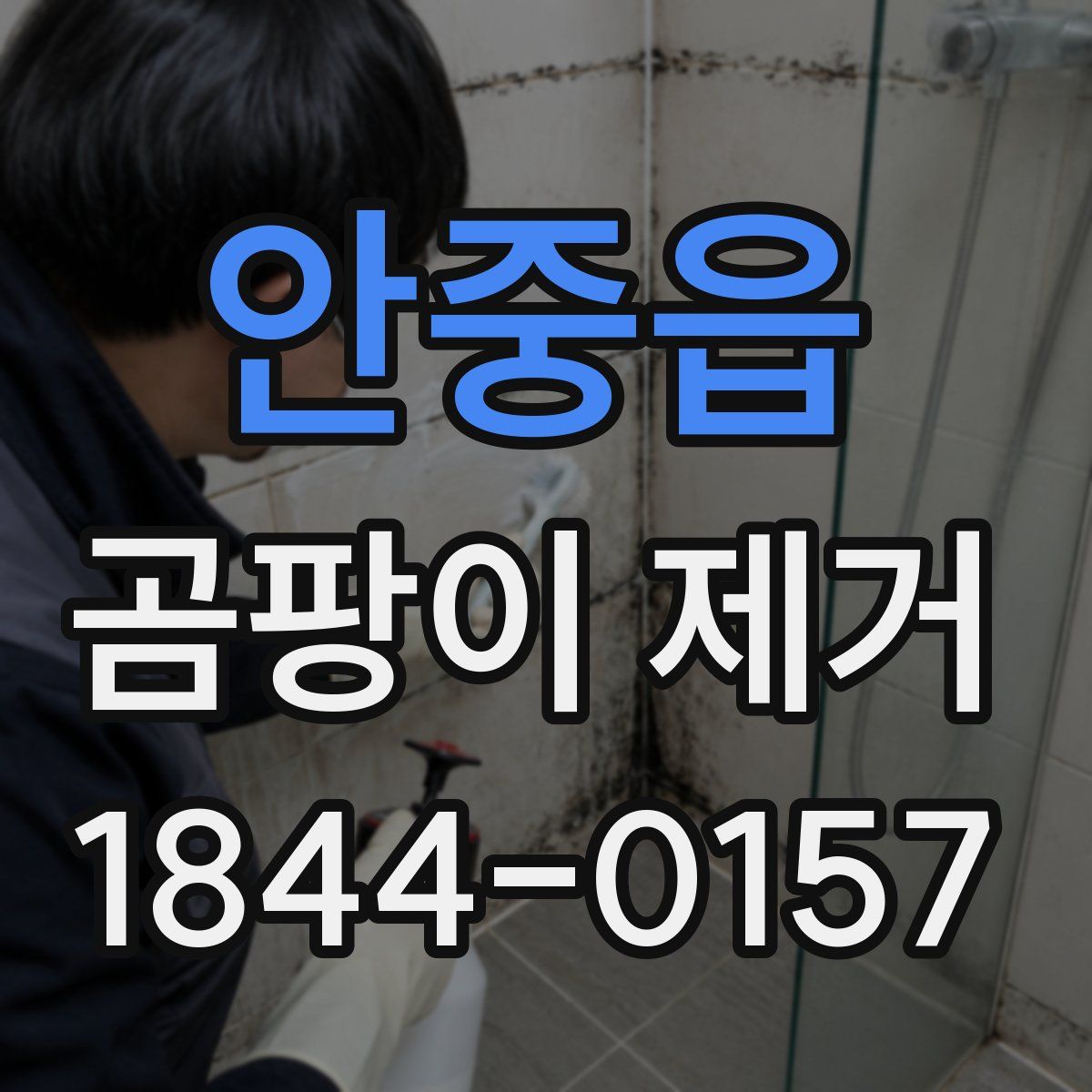 안중읍 곰팡이 제거