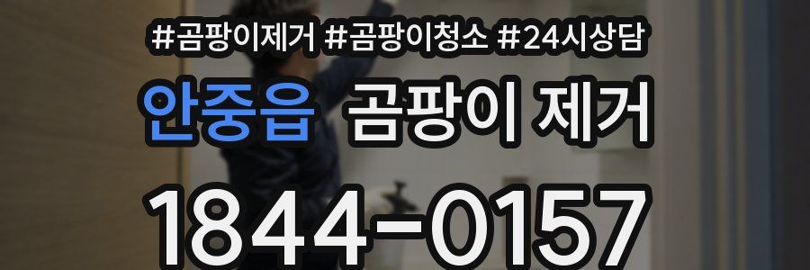 안중읍 곰팡이 제거