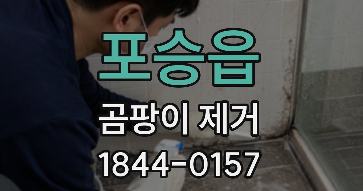 포승읍 곰팡이 제거