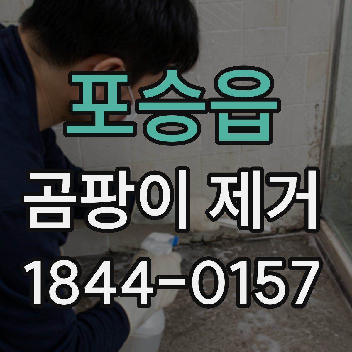 포승읍 곰팡이 제거