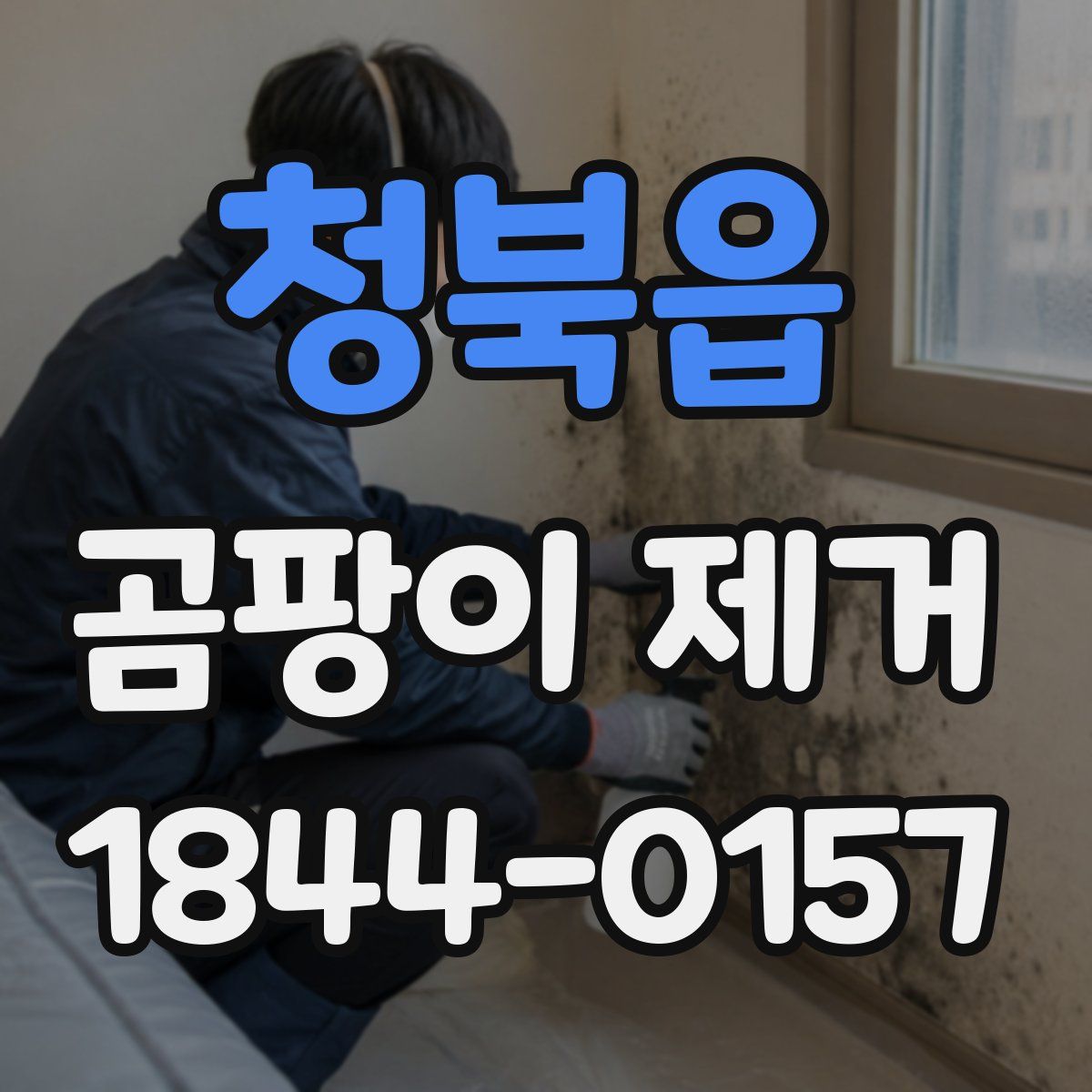 청북읍 곰팡이 제거