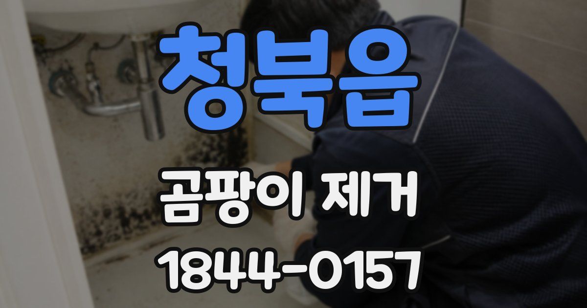청북읍 곰팡이 제거