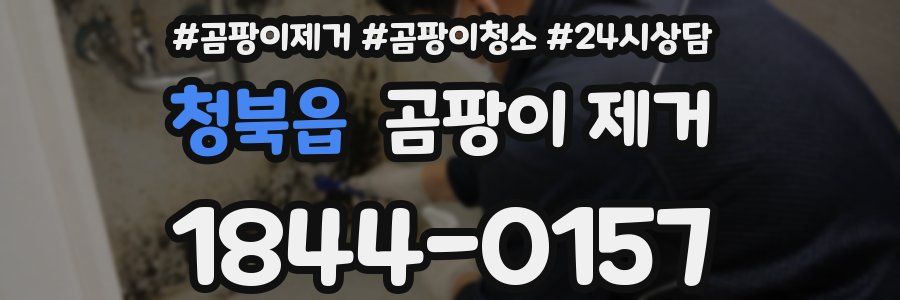청북읍 곰팡이 제거