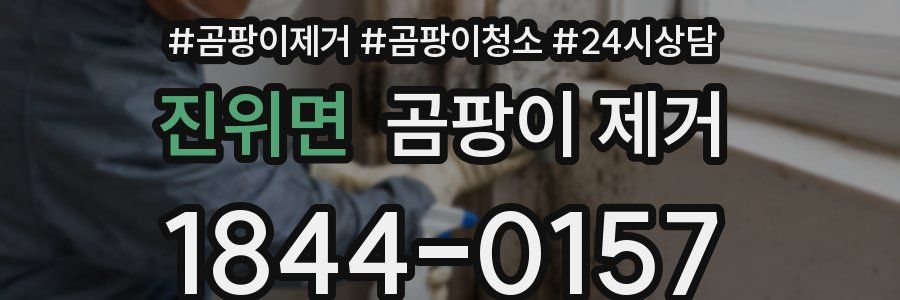 진위면 곰팡이 제거