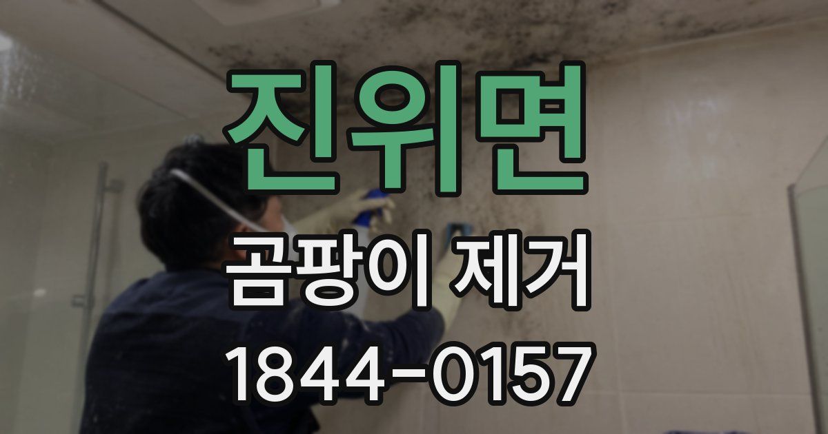 진위면 곰팡이 제거