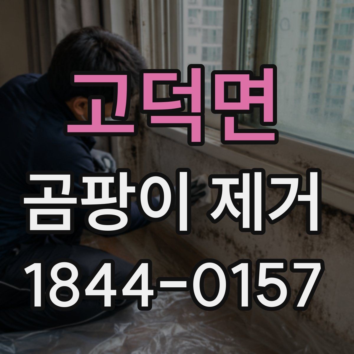 고덕면 곰팡이 제거 장비가 필요한 상황을 구분하는 방법