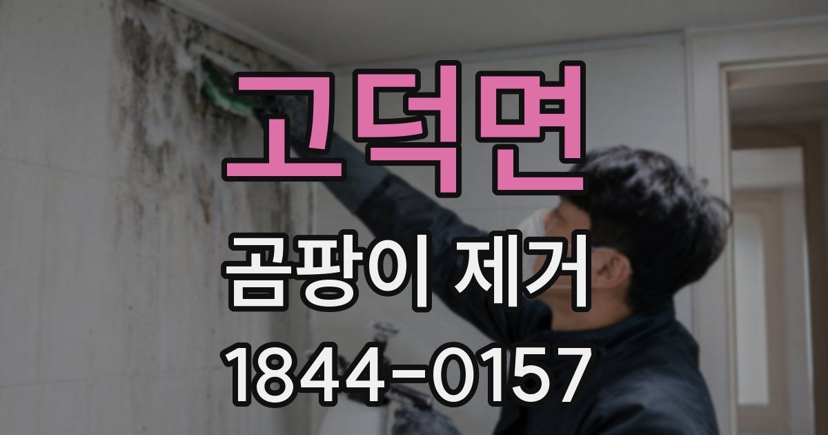 고덕면 곰팡이 제거