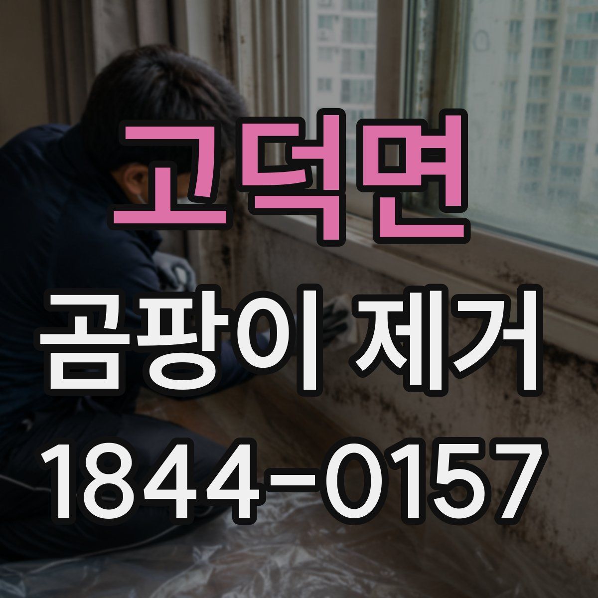 고덕면 곰팡이 제거