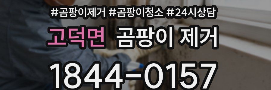 고덕면 곰팡이 제거