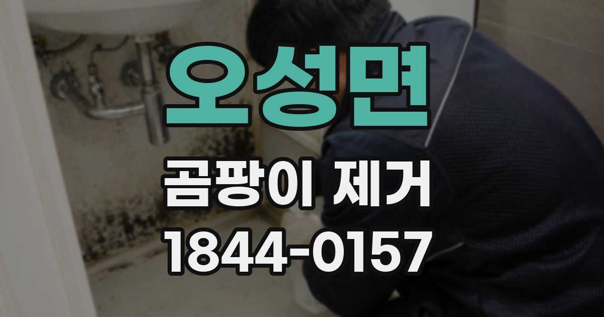 오성면 곰팡이 제거