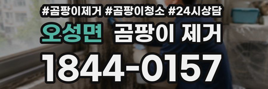 오성면 곰팡이 제거