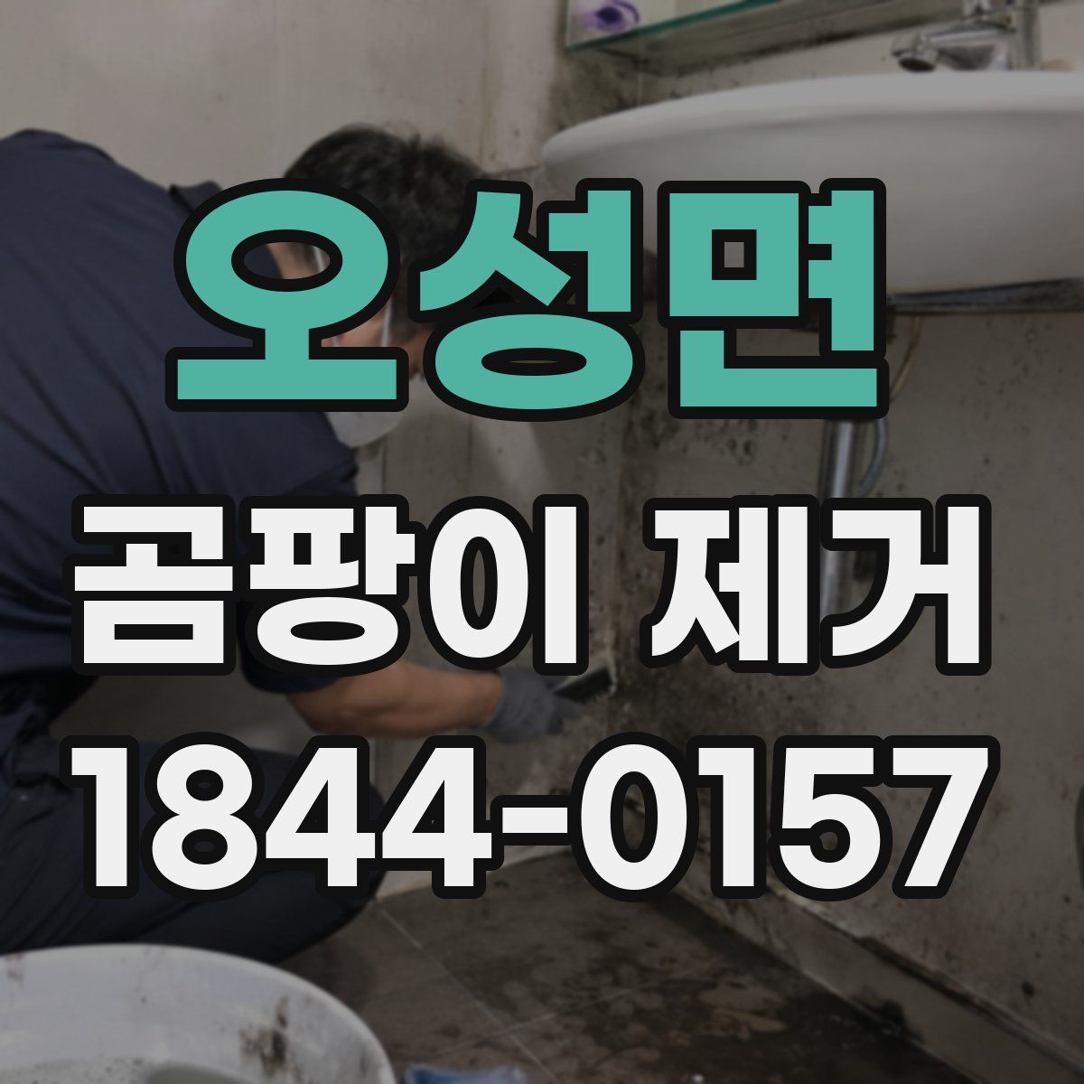 오성면 곰팡이 제거