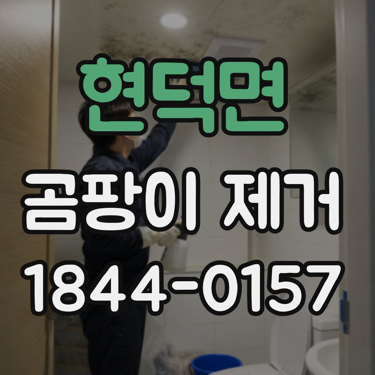현덕면 곰팡이 제거