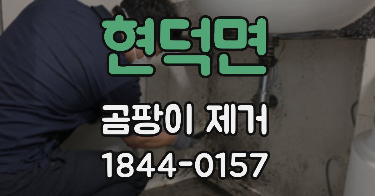 현덕면 곰팡이 제거