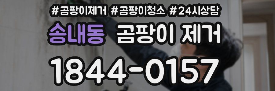 송내동 곰팡이 제거