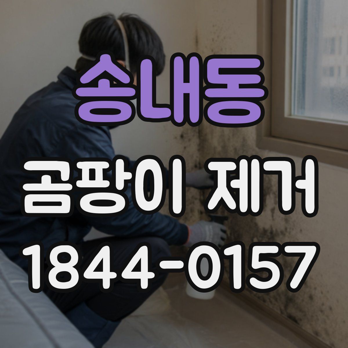 송내동 곰팡이 제거
