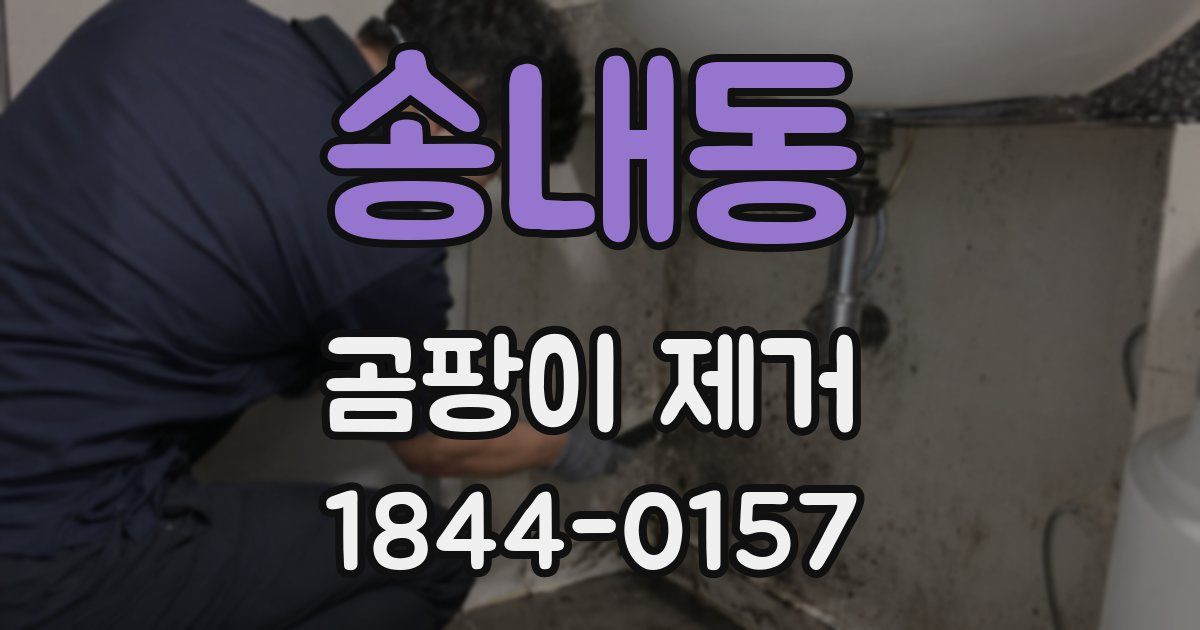송내동 곰팡이 제거