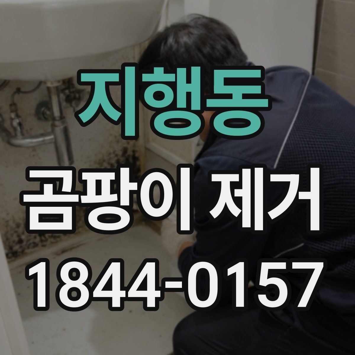 지행동 곰팡이 제거 겨울 결로가 남긴 자국 대응 포인트