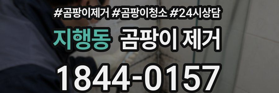 지행동 곰팡이 제거