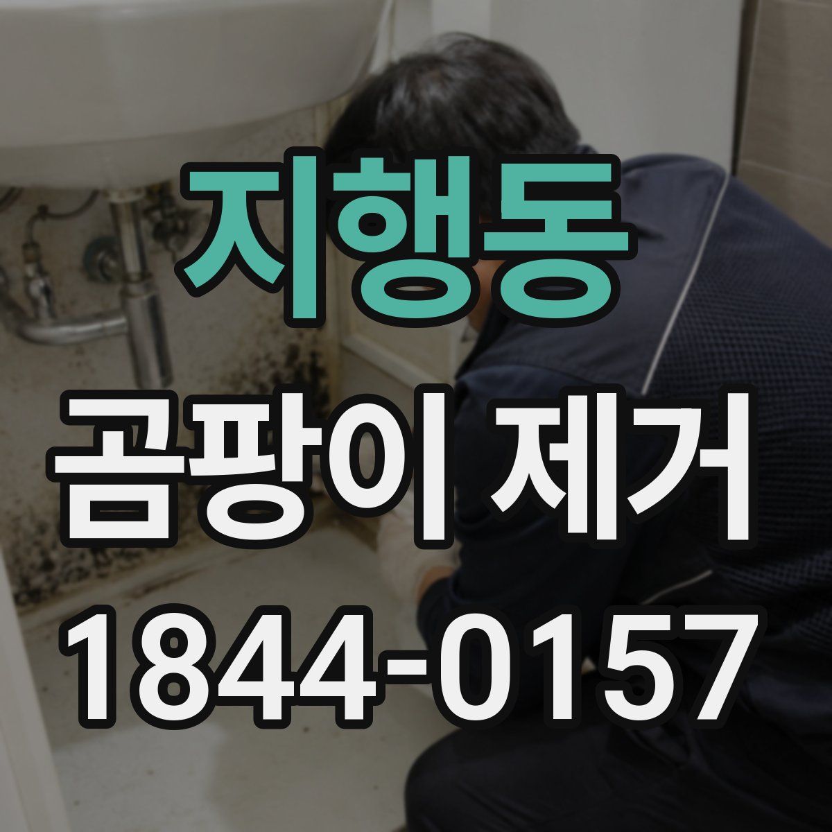 지행동 곰팡이 제거