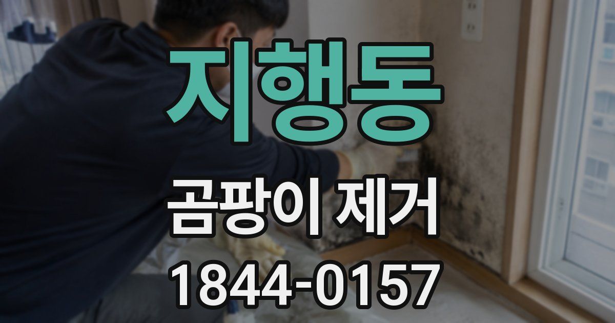지행동 곰팡이 제거