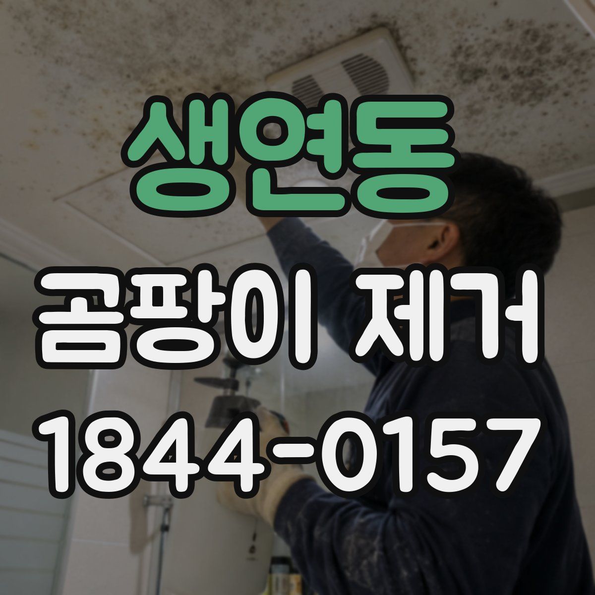 생연동 곰팡이 제거