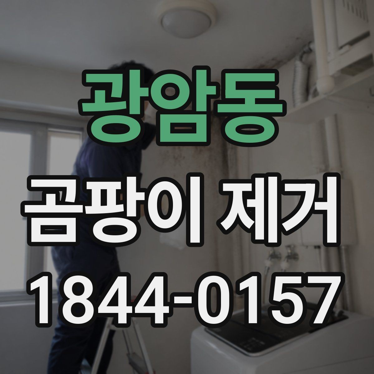광암동 곰팡이 제거 검은 자국이 보일 때 먼저 볼 부분