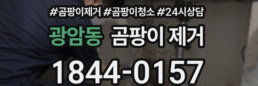 광암동 곰팡이 제거