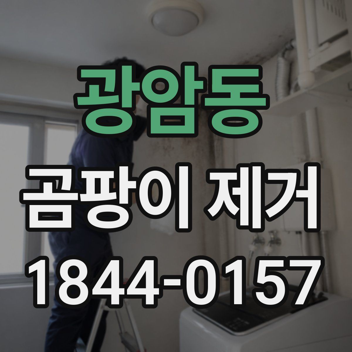 광암동 곰팡이 제거