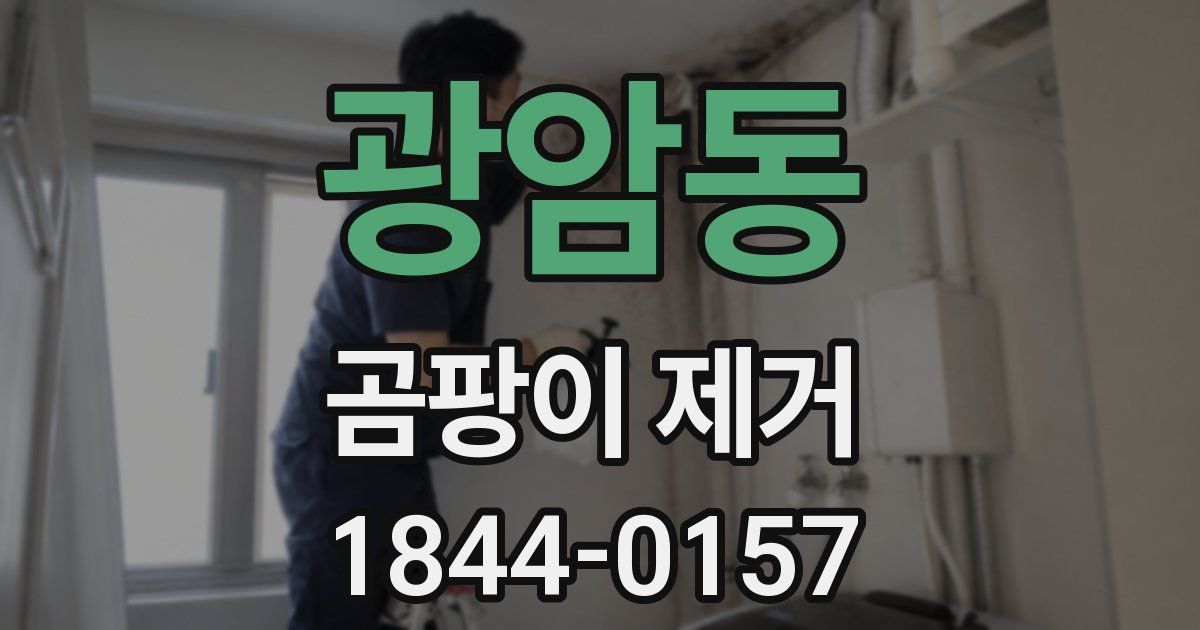광암동 곰팡이 제거