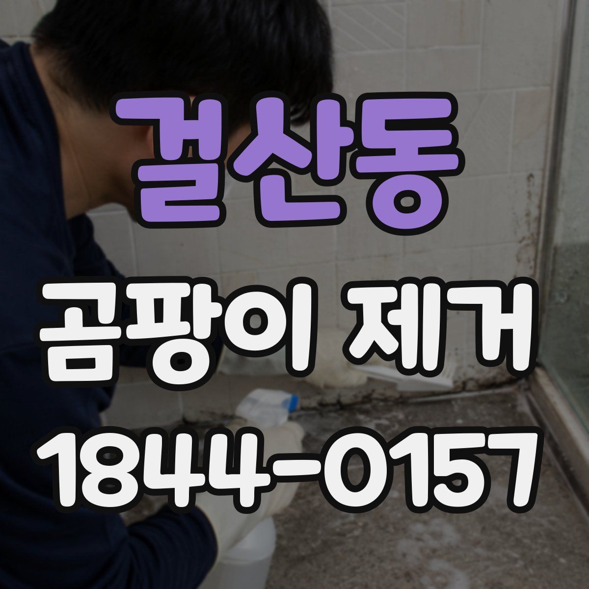 걸산동 곰팡이 제거