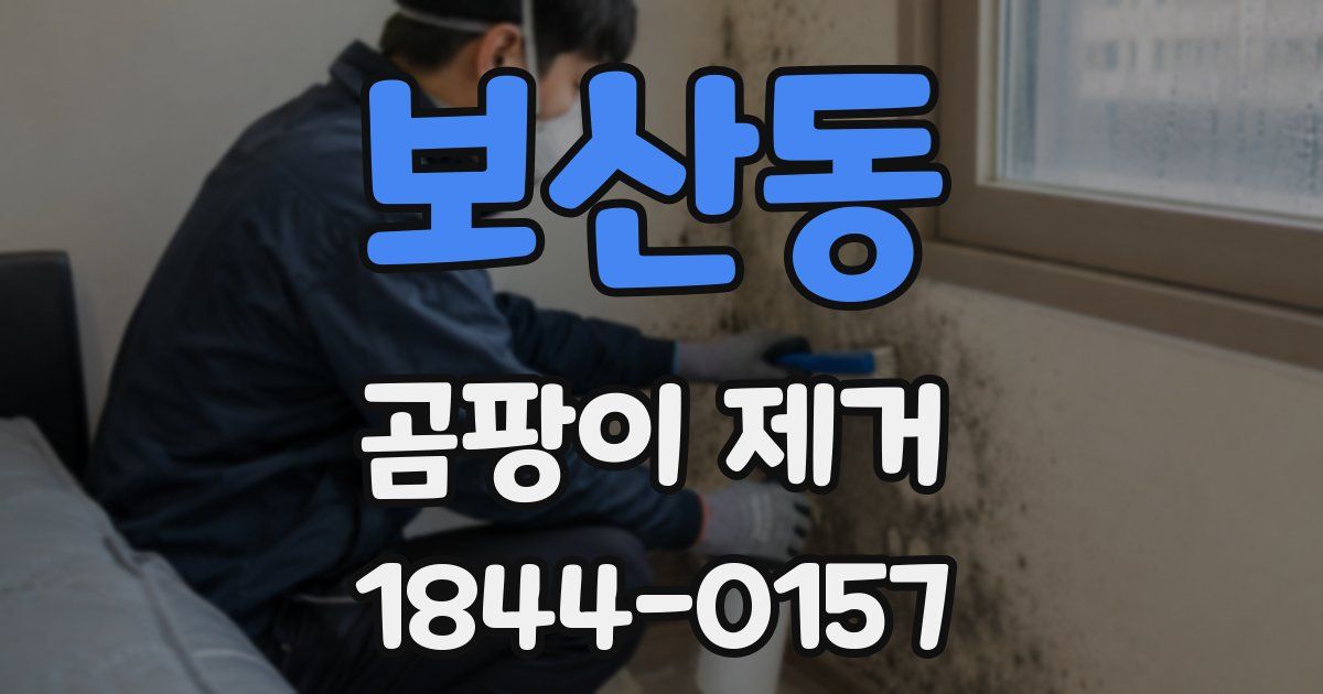 보산동 곰팡이 제거