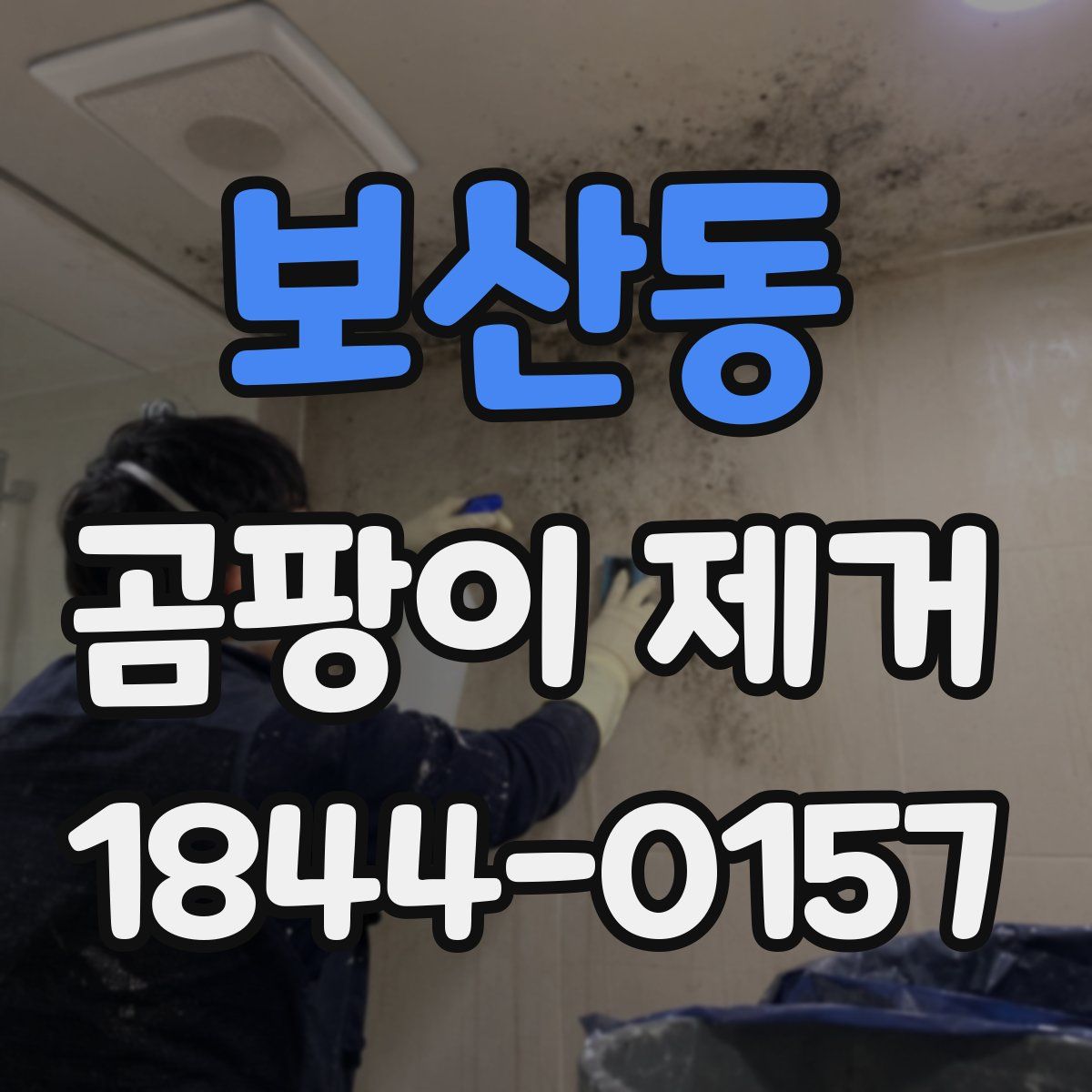 보산동 곰팡이 제거