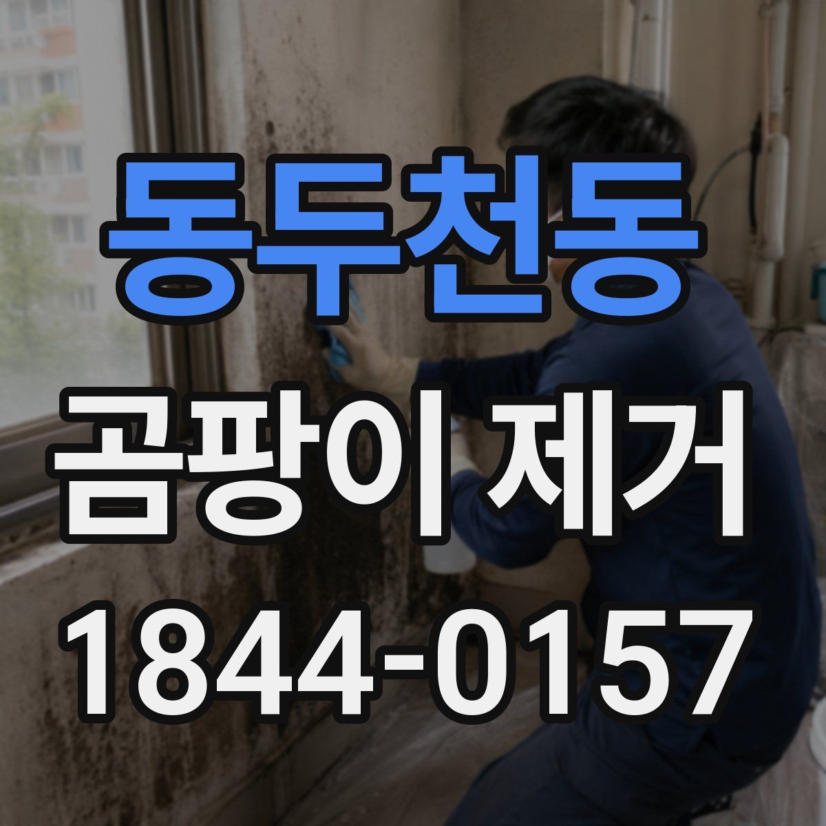 동두천동 곰팡이 제거