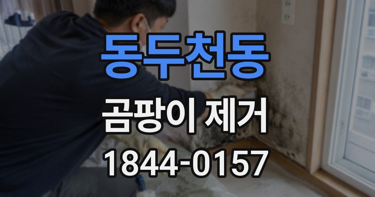 동두천동 곰팡이 제거