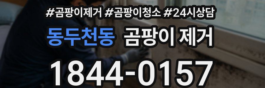 동두천동 곰팡이 제거