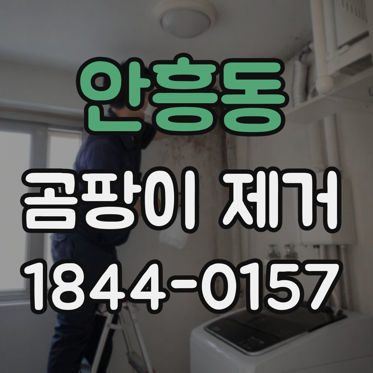 안흥동 곰팡이 제거