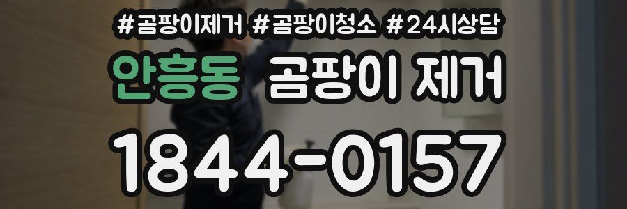 안흥동 곰팡이 제거