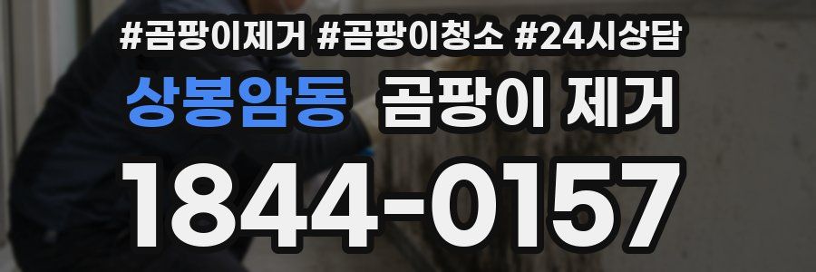 상봉암동 곰팡이 제거