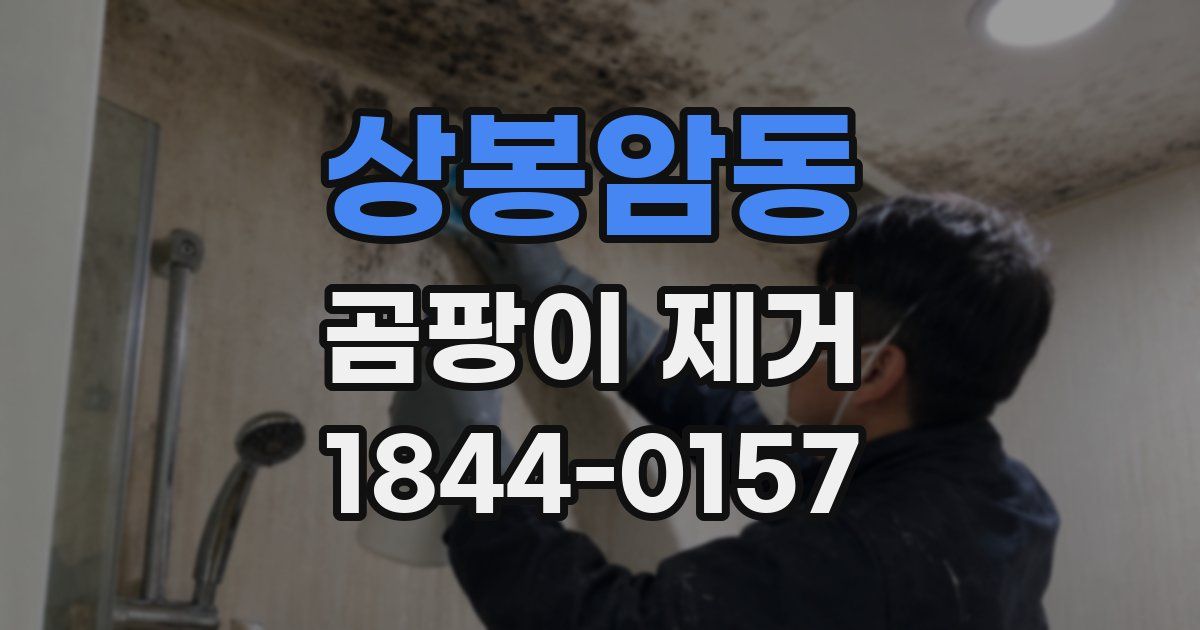 상봉암동 곰팡이 제거