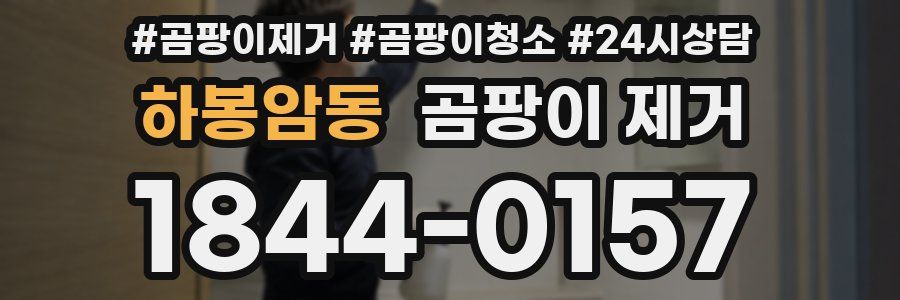 하봉암동 곰팡이 제거