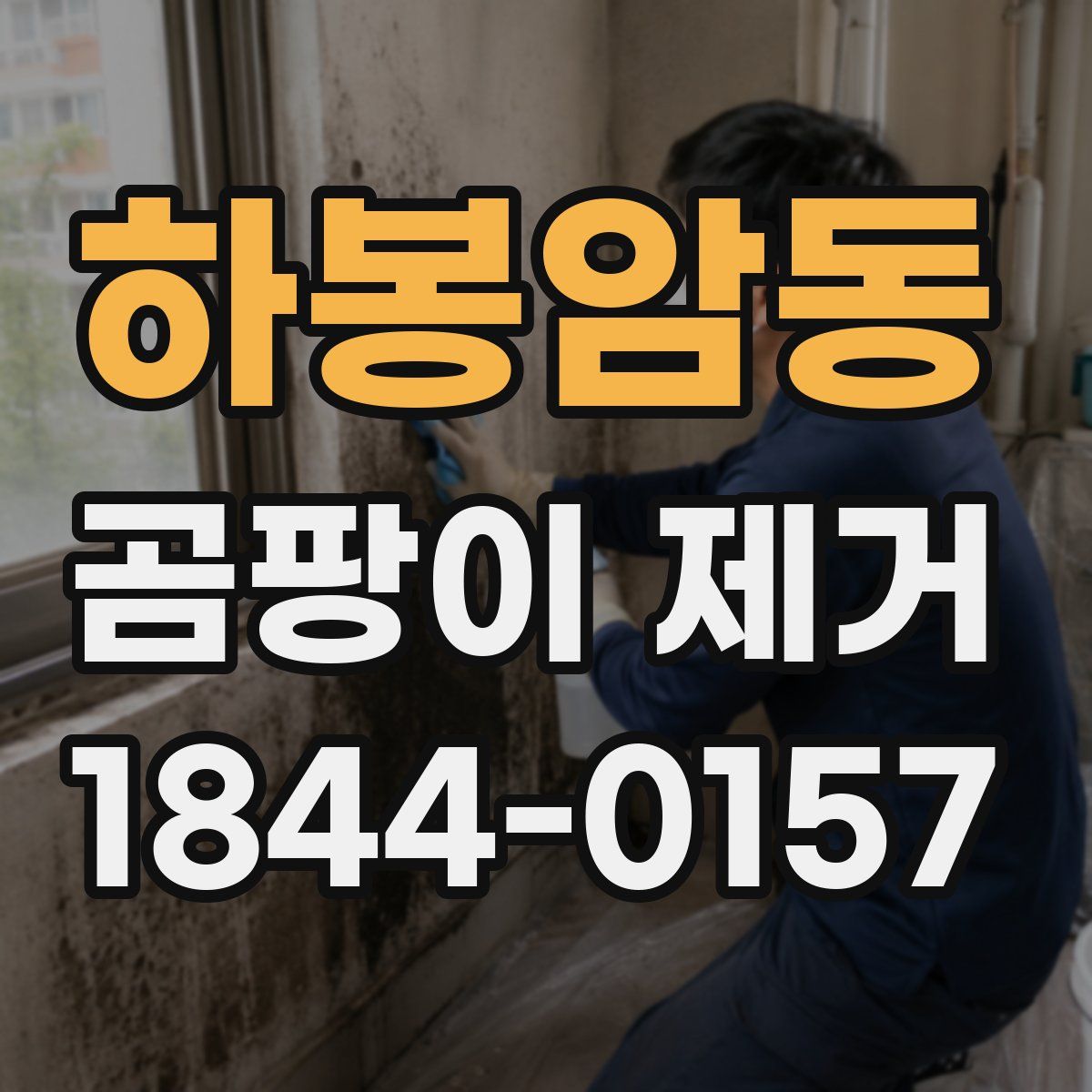 하봉암동 곰팡이 제거