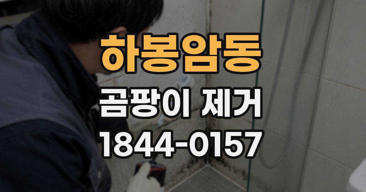 하봉암동 곰팡이 제거