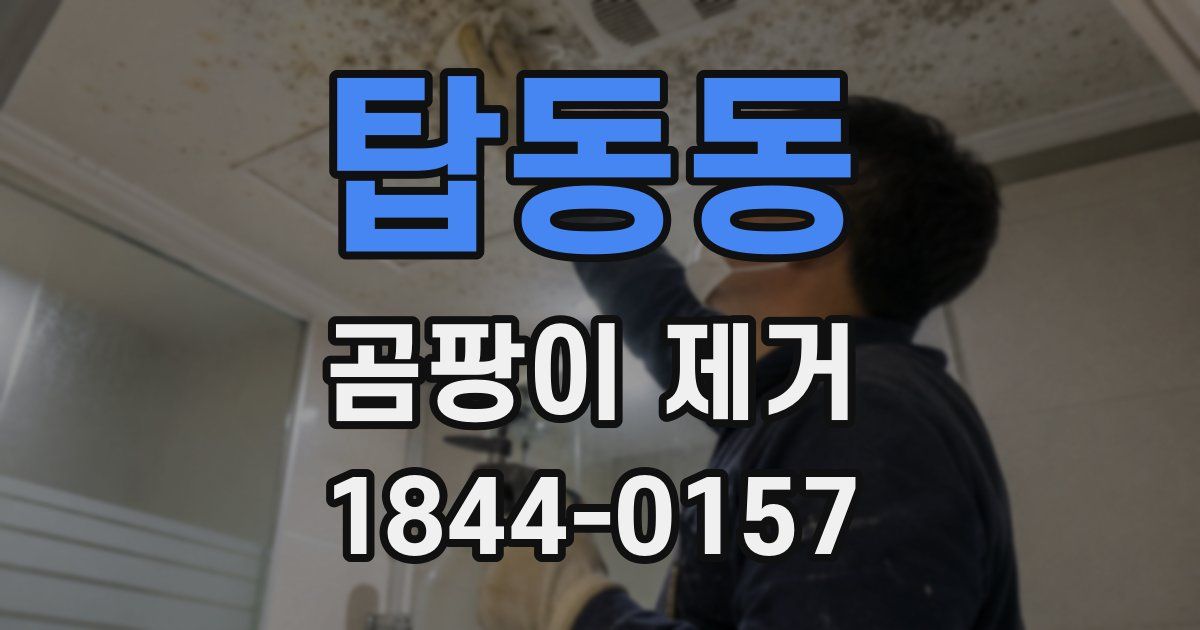 탑동동 곰팡이 제거