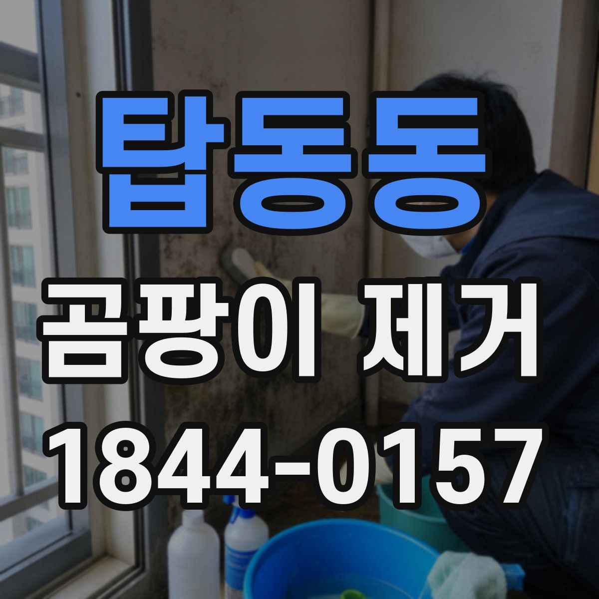 탑동동 곰팡이 제거
