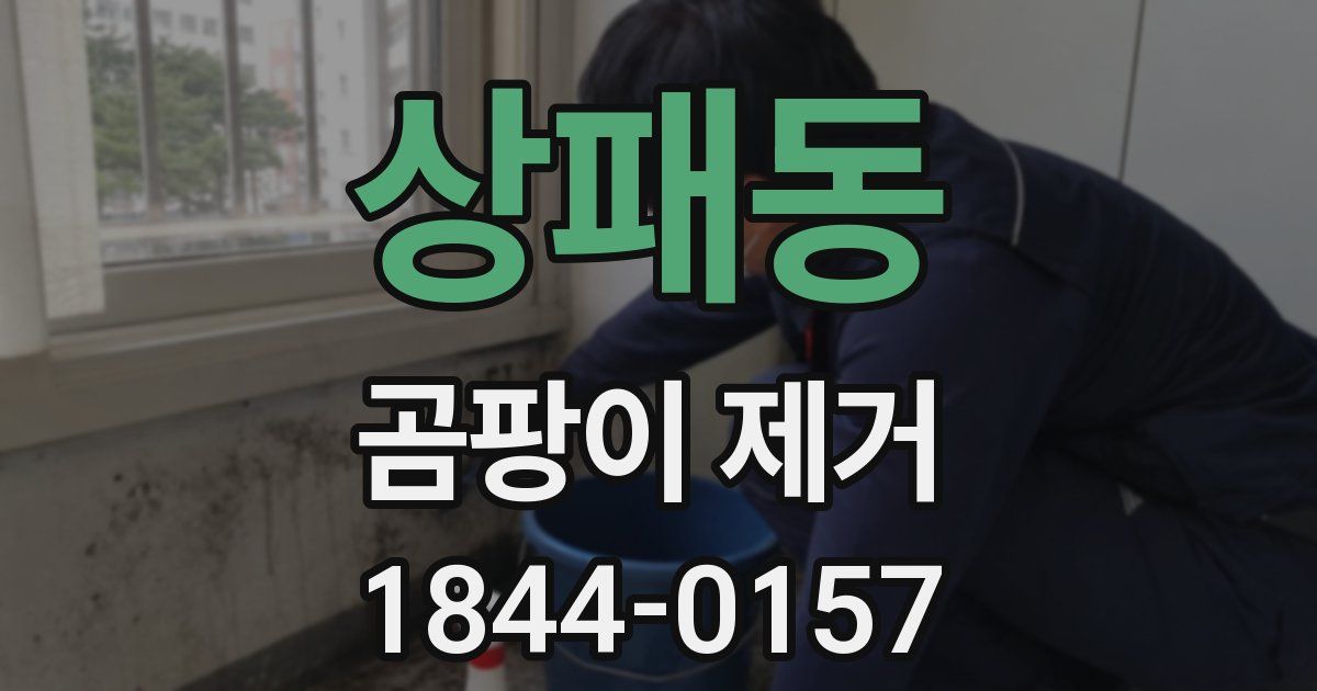상패동 곰팡이 제거