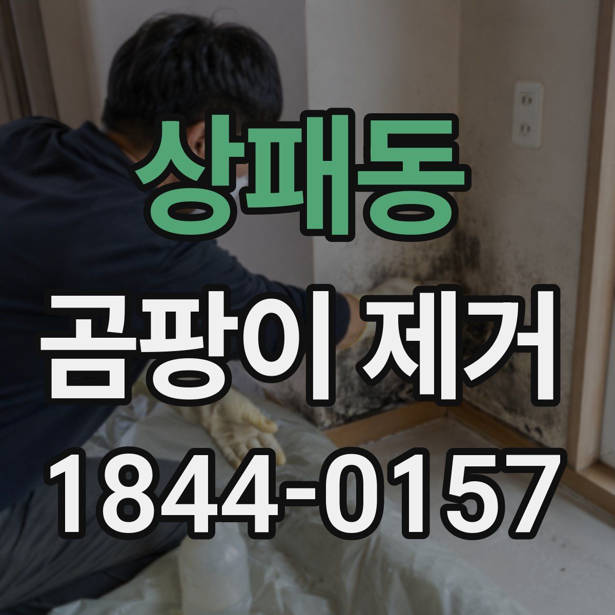 상패동 곰팡이 제거